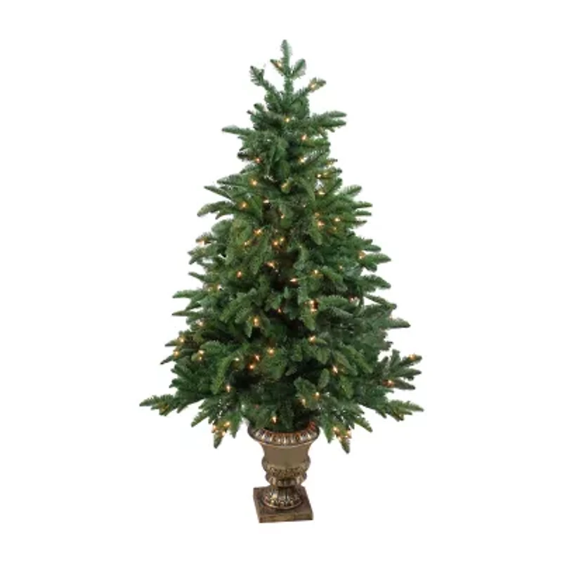 Northlight Potted Sierra Norway Spruce Slim Artificial Clear Lights 4 1/2 Foot Pre-Lit Christmas Tree