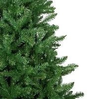 Northlight Winona Artificial  Unlit 6 1/2 Foot Fir Christmas Tree