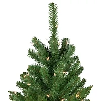 Northlight White River Pencil Artificial  Clear Lights 6 1/2 Foot Pre-Lit Fir Christmas Tree
