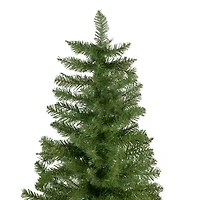 Northlight Silver Lake Pencil Artificial  Unlit 7 1/2 Foot Fir Christmas Tree