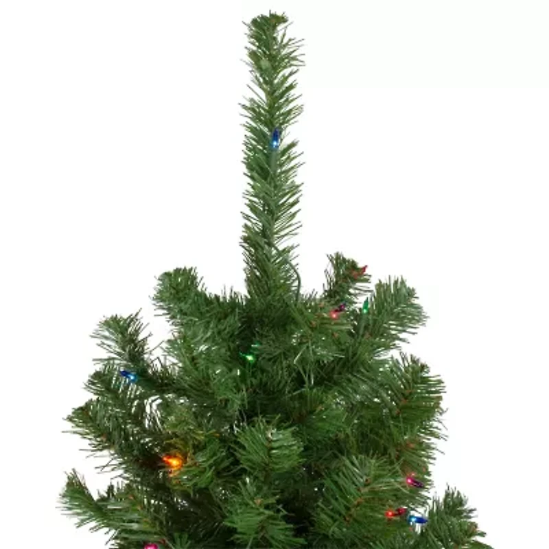 Northlight Alberta Slim Artificial Multi Lights 6 Foot Pre-Lit Pine Christmas Tree