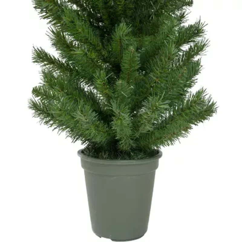 Northlight Potted Virginia Walkway Slim Artificial Unlit 4 Foot Pine Christmas Tree