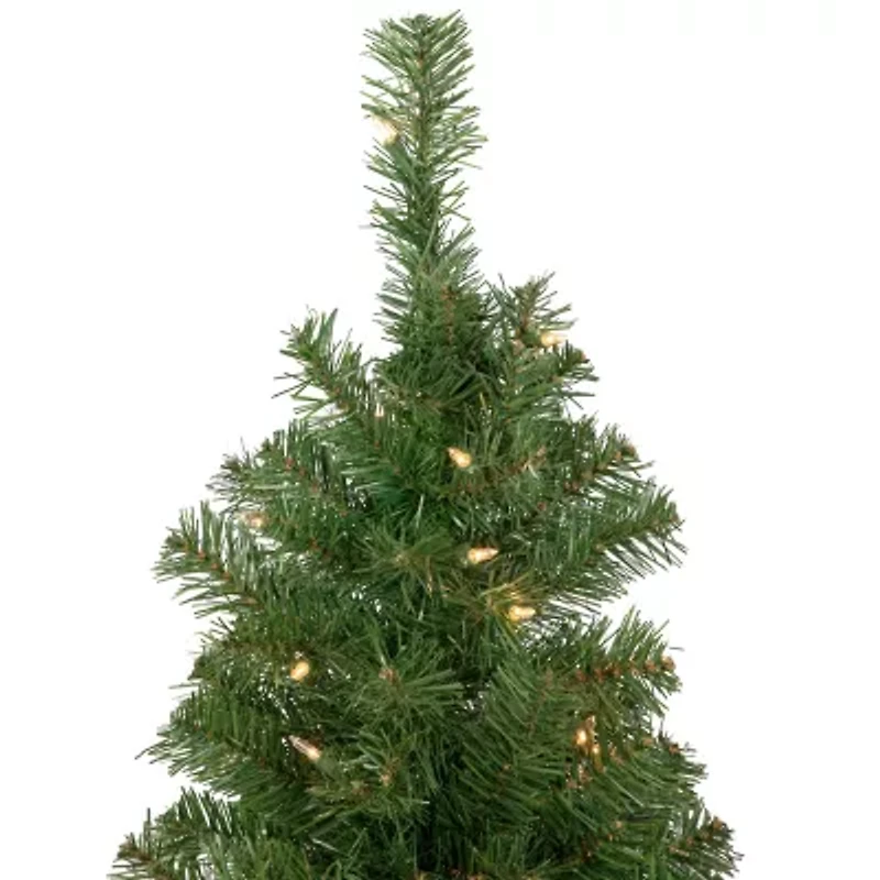 Northlight Oakridge Noble Artificial  Clear Lights 3 Foot Pre-Lit Fir Christmas Tree