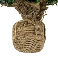 Northlight Two-Tone Green Artificial In Burlap Clear Led Lights 1 1/2 Feet Pre-Lit Pine Christmas Tree