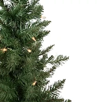 Northlight Set Of 2 Potted Porch Topiary Slim Artificial Clear Lights 4 Foot Pre-Lit Pine Christmas Tree