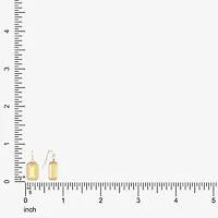 Liz Claiborne Womens Rectangular Drop Earrings