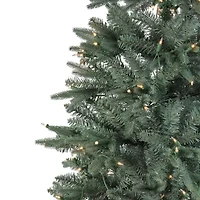 6.5' Pre-Lit Slim Washington Frasier Fir Artificial Christmas Tree - Clear Lights