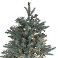7.5' Pre-Lit Washington Frasier Fir Slim Artificial Christmas Tree - Clear Lights