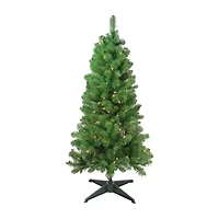 4' x 25'' Pre-Lit Blackwater Fir Artificial Christmas Tree- Clear Lights