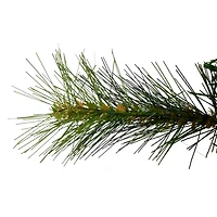 32'' Canyon Pine Artificial Christmas Teardrop Swag - Unlit