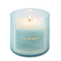 Distant Lands Aquamarine 3-Wick Scented Jar Candle