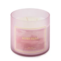 Distant Lands Berry Bliss 3-Wick Scented Jar Candle
