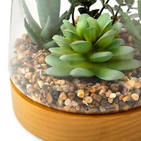 Linden Street 7in Mixed Succulent Terrarium Artificial Plant
