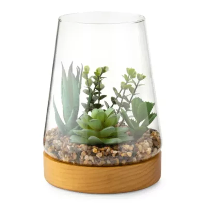 Linden Street 7in Mixed Succulent Terrarium Artificial Plant