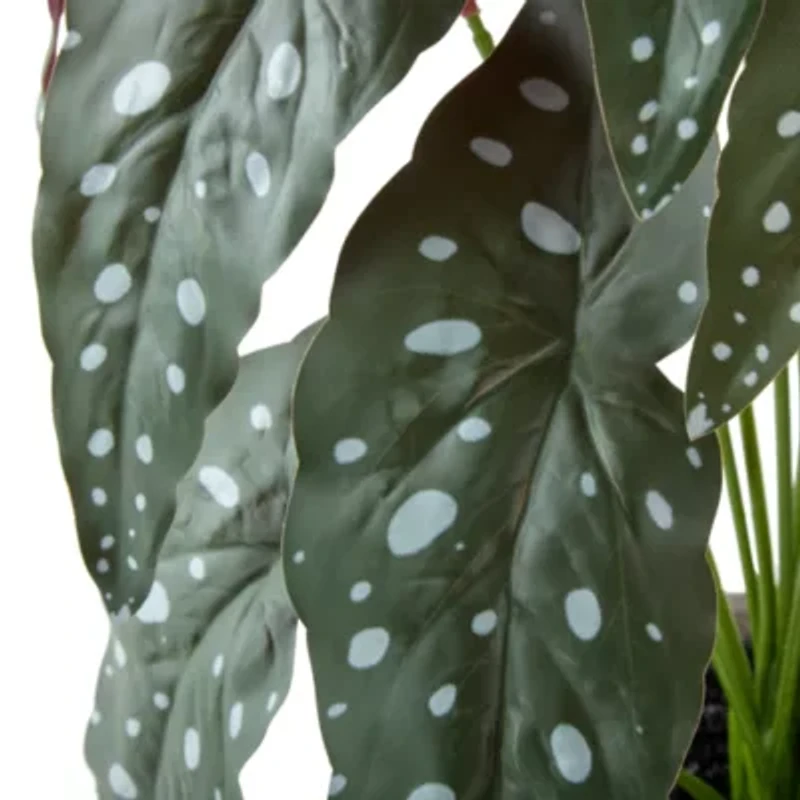 Linden Street 18.5in Polka Dot Begonia Artificial Plant