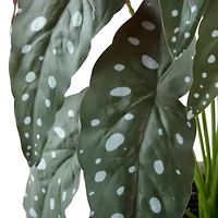 Linden Street 18.5in Polka Dot Begonia Artificial Plant
