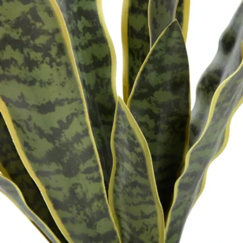 Linden Street 22.25in Snake Artificial Plant