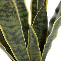 Linden Street 22.25in Snake Artificial Plant