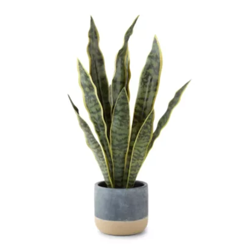 Linden Street 22.25in Snake Artificial Plant