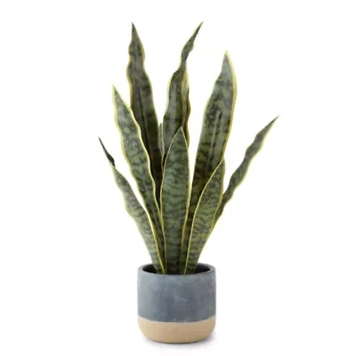 Linden Street 22.25in Snake Artificial Plant