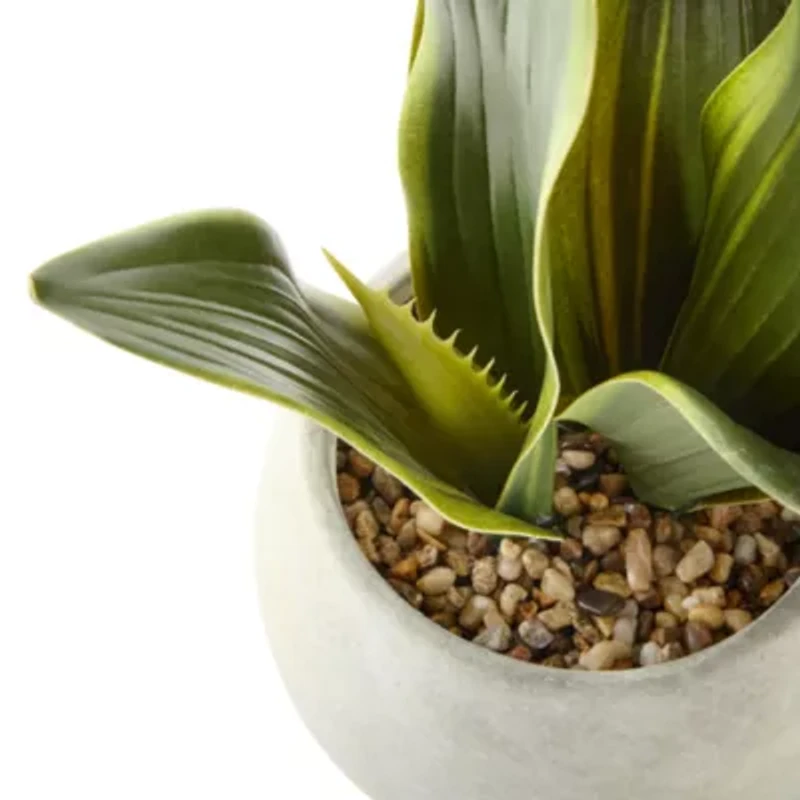 Linden Street 12in Snake Artificial Plant