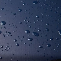 Delsey Paris Raspail 22" Rolling Carry-On Duffel Bag