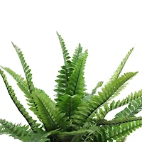 17.5'' Potted Artificial Tall Green Boston Fern Plant