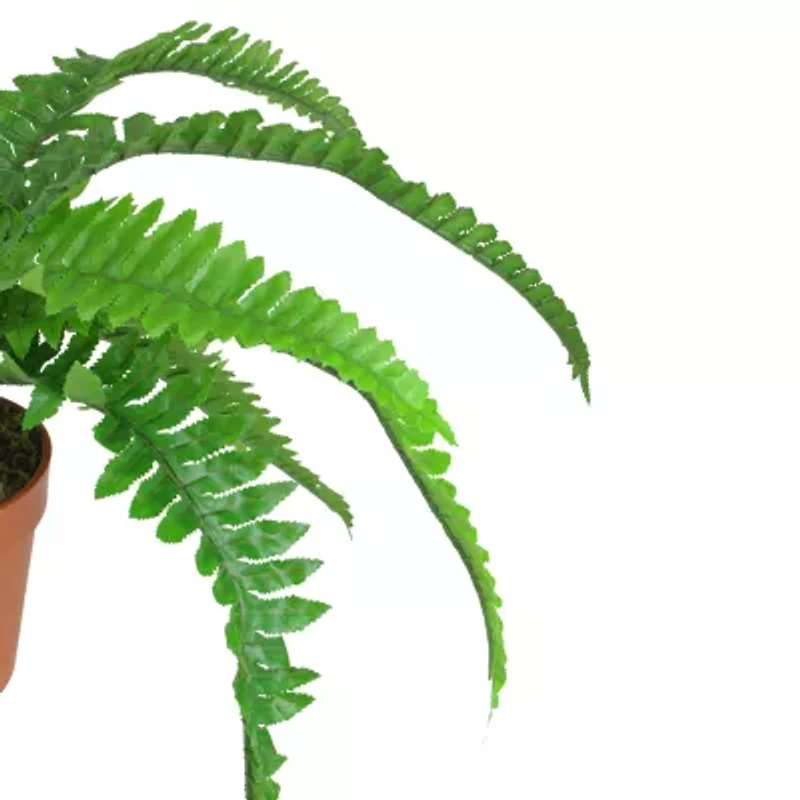 15.75'' Potted Artificial Long Green Boston Fern Plant