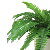 21'' Green and Cream White Boston Fern Artificial Potted Plant
