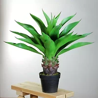 30.5'' Brown and Green Artificial Agave Succulent Plant In a Black Pot