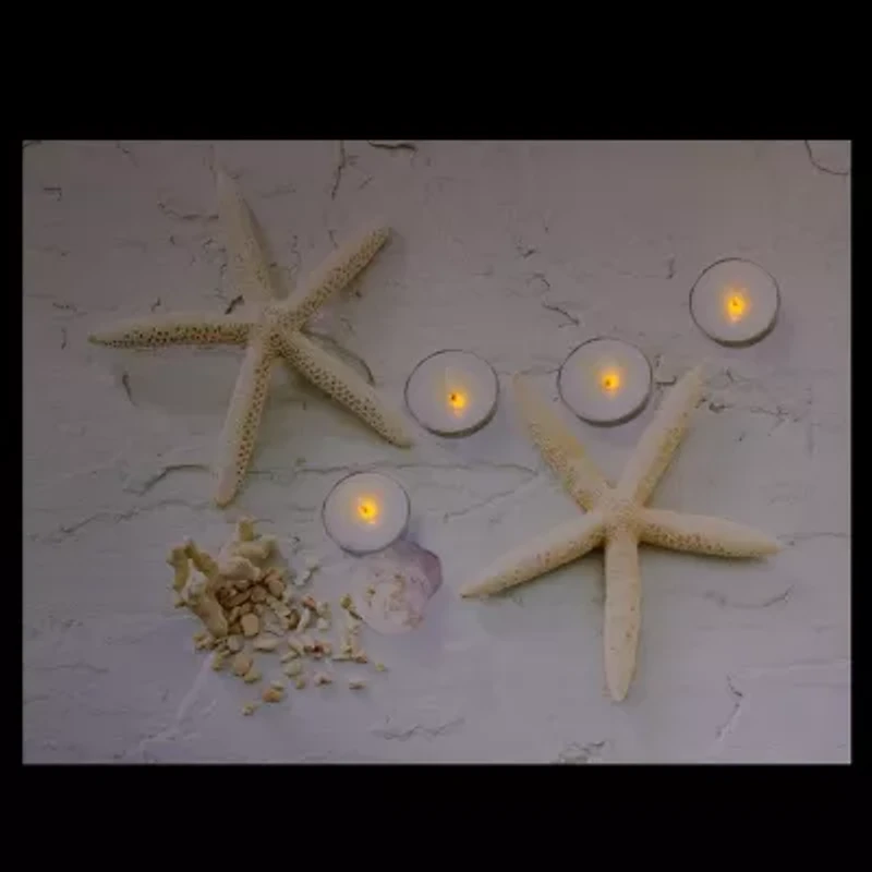LED Lighted Starfish  Seashell and Tea Light Candles Canvas Wall Art 15.75"