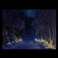 LED Lighted Nighttime in the Woods Winter Scene Canvas Wall Art 15.75"