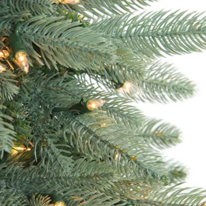 Pre-Lit Washington Frasier Fir Artificial Christmas Wreath - 24-Inch  Clear Lights
