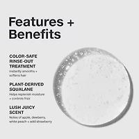 Paul Mitchell Sealing Rinse Hair Treatment 5.1 oz.