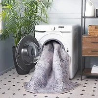 Safavieh Tucson Danita Indoor Rectangular Runner