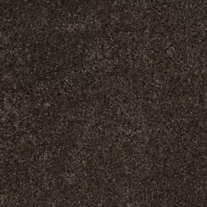 Safavieh Santa Monica Shag Collection Ainsley Solid Area Rug