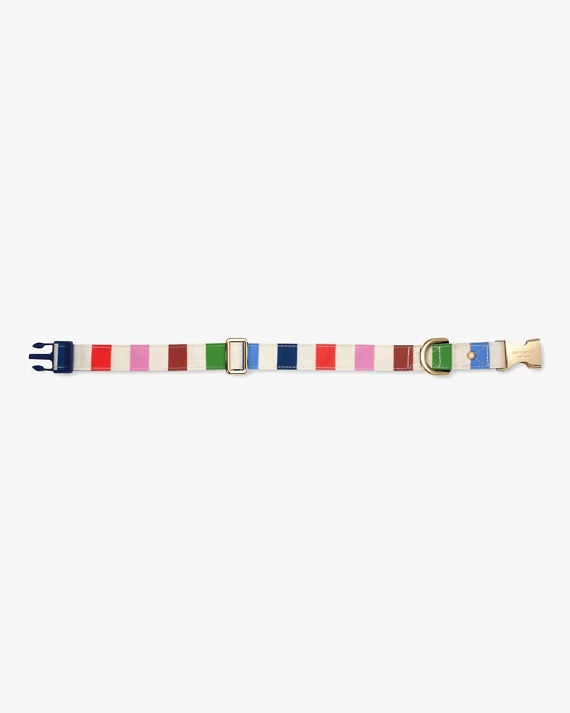 Adventure Stripe Collar