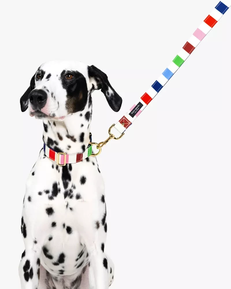 Adventure Stripe Collar