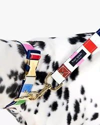 Adventure Stripe Collar