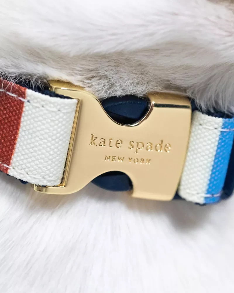 Adventure Stripe Collar