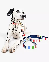 Adventure Stripe Leash