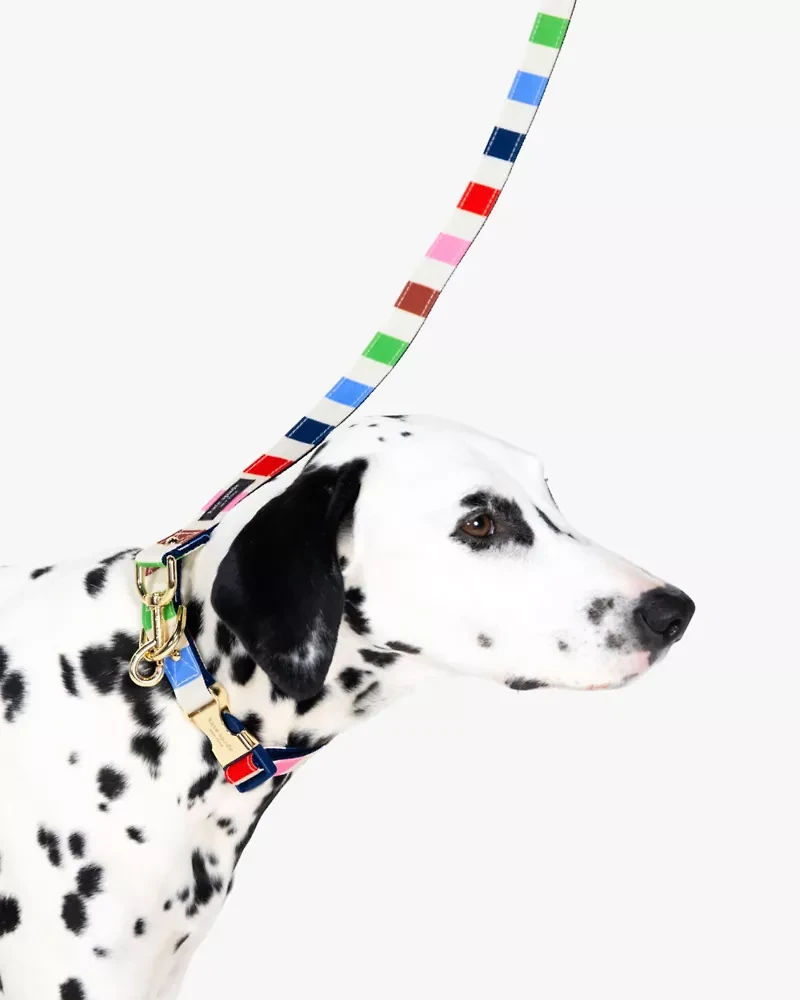 Adventure Stripe Leash
