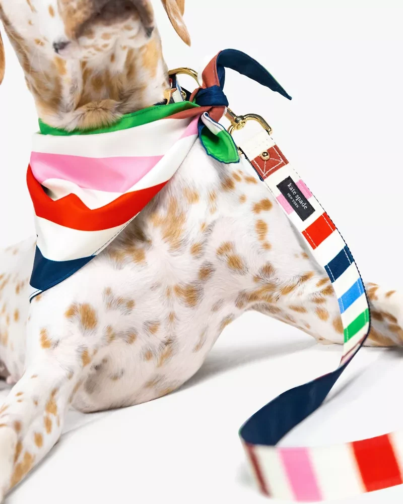 Adventure Stripe Leash