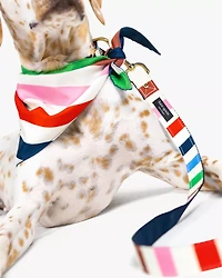 Adventure Stripe Leash