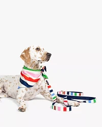 Adventure Stripe Leash