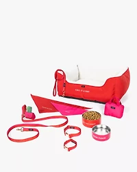 Colorblock Leash