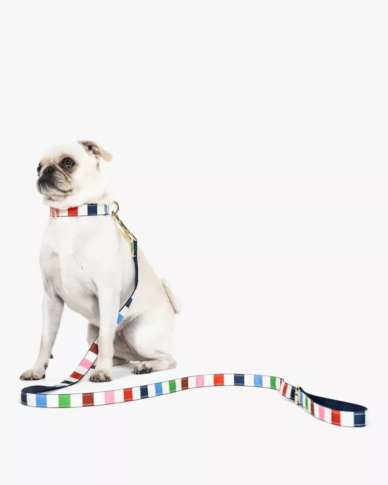 Adventure Stripe Leash S/M
