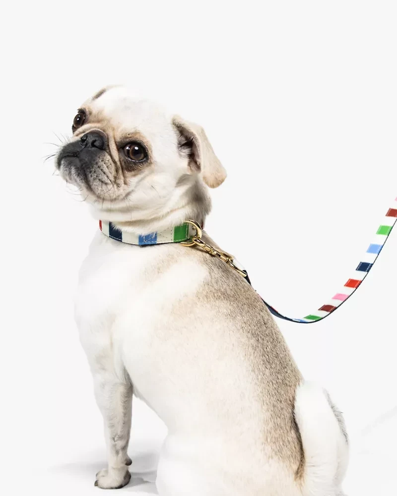 Adventure Stripe Leash S/M