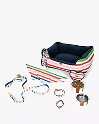 Adventure Stripe Leash S/M