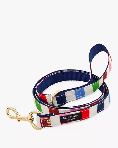 Adventure Stripe Leash S/M